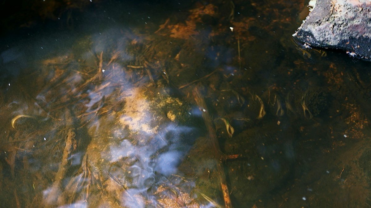 Stacks Image 3672